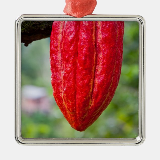 cocoa pod red metal ornament (Front)