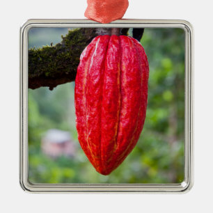 cocoa pod red metal ornament