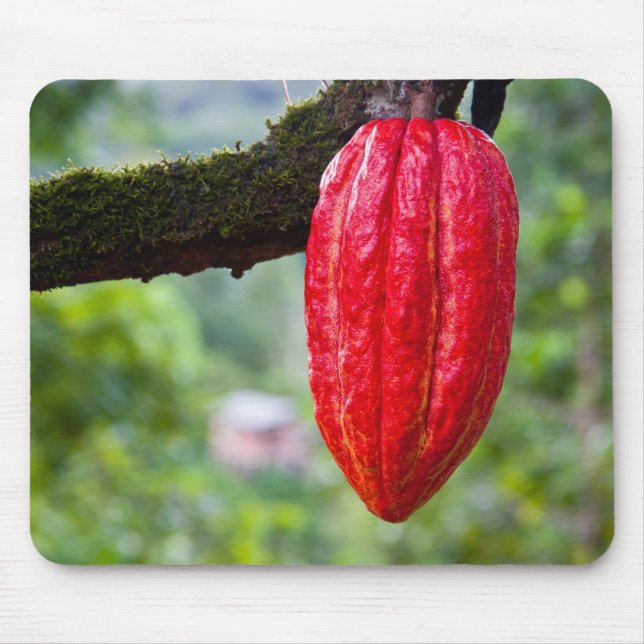 cocoa pod red mouse pad (Front)