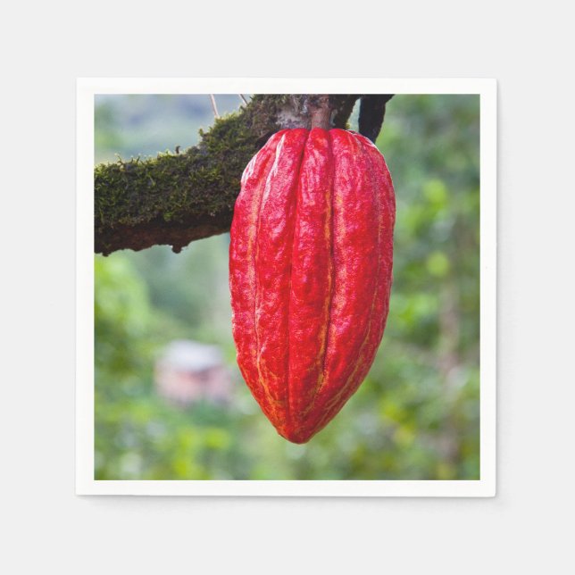 cocoa pod red napkin (Front)