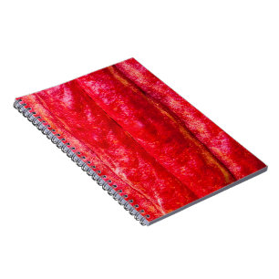 cocoa pod red notebook