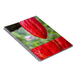 cocoa pod red notebook