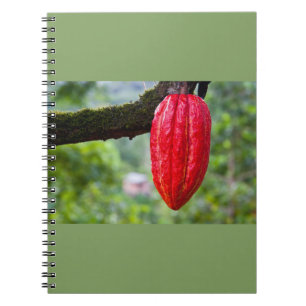 cocoa pod red notebook