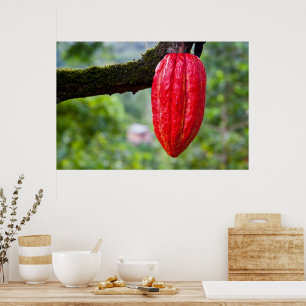 cocoa pod red poster