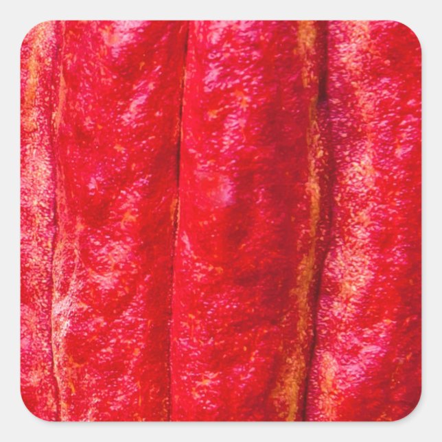 cocoa pod red square sticker (Front)