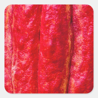 cocoa pod red square sticker