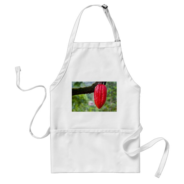 cocoa pod red standard apron (Front)