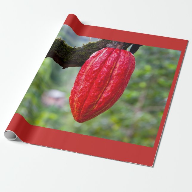 cocoa pod red wrapping paper (Unrolled)