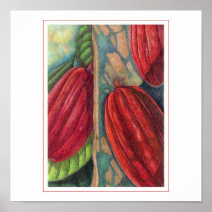 Cocoa Pods Poster