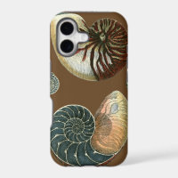 Cocoa Shell