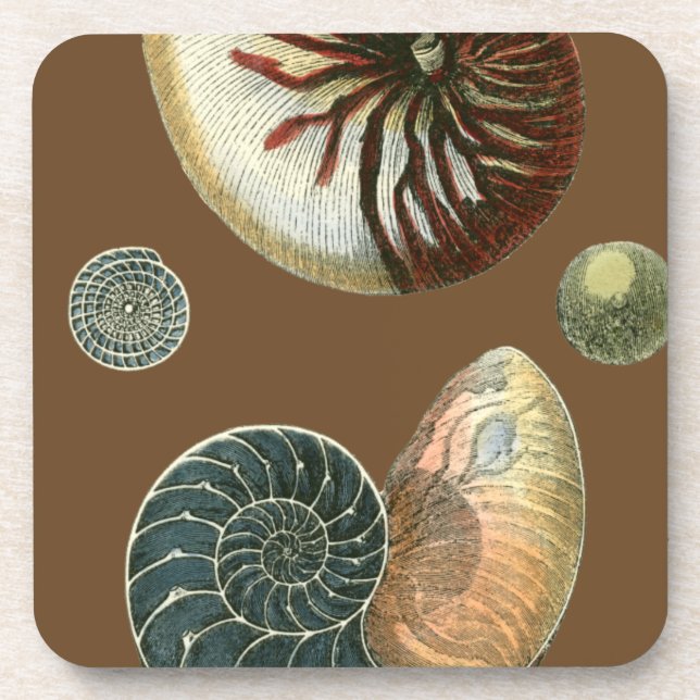 Cocoa Shell Coaster (Front)