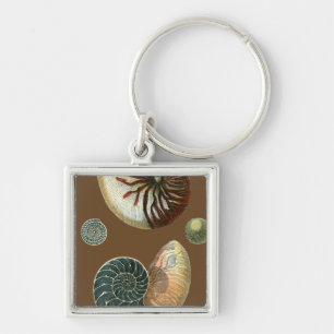 Cocoa Shell Keychain