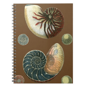 Cocoa Shell Notebook