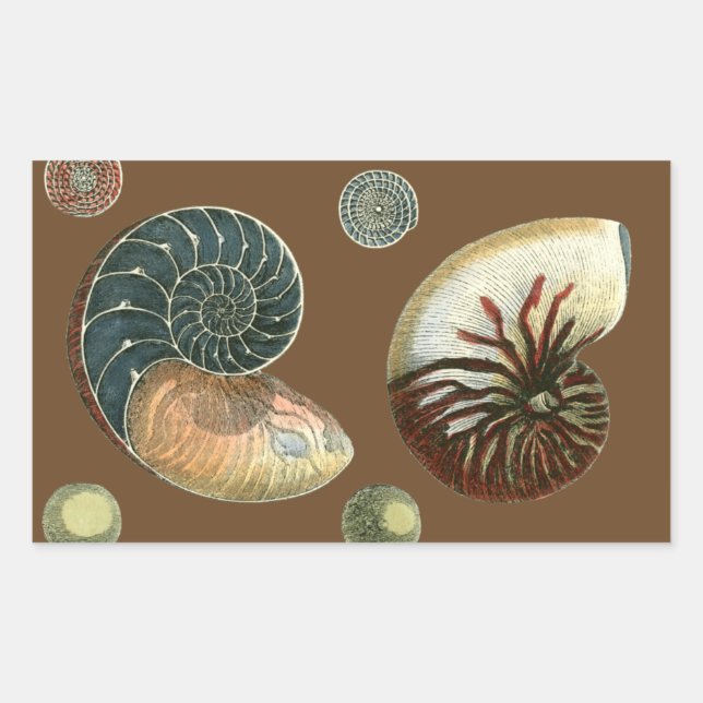 Cocoa Shell Sticker (Front)