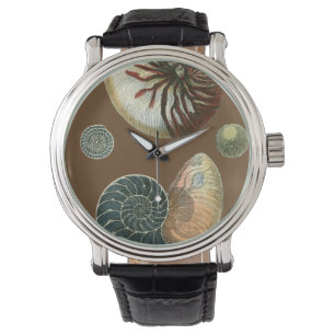 Cocoa Shell Watch