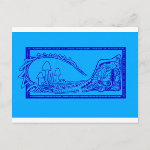 cocodrilo postcard