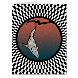 cocon dauphin étoilé