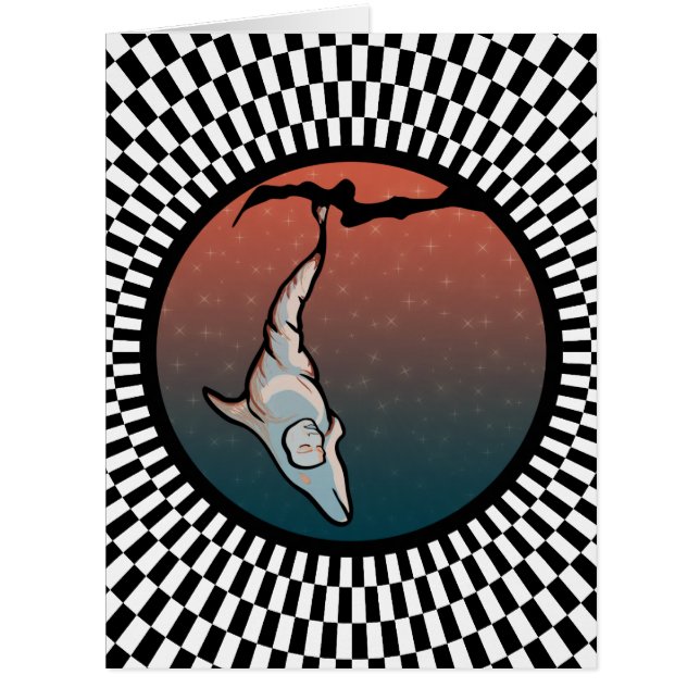 cocon dauphin étoilé (Devant)