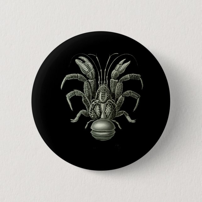 Coconut Crab 2 Inch Round Button (Front)