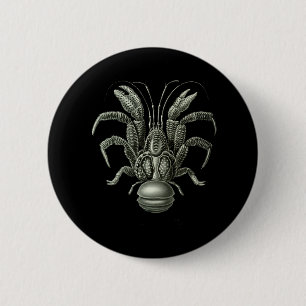 Coconut Crab 2 Inch Round Button