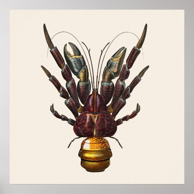 Coconut Crab Poster (Front)