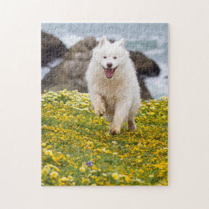 Coconut - Flowers Jigsaw Puzzle