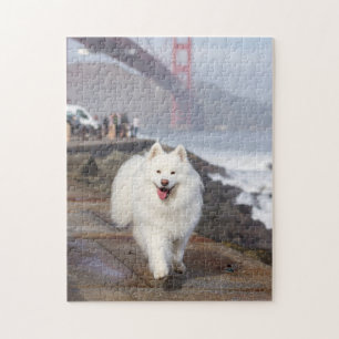 Coconut - Golden Gate Bridge Jigsaw Puzzle