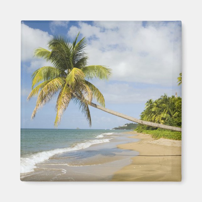 Coconut Grove Beach at Cades Bay, with St. 2 Magnet (Front)