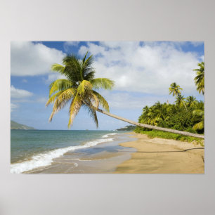 Coconut Grove Beach at Cades Bay, with St. 2 Poster