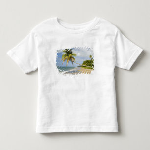 Coconut Grove Beach at Cades Bay, with St. 2 Toddler T-shirt