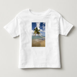 Coconut Grove Beach at Cades Bay, with St. Toddler T-shirt