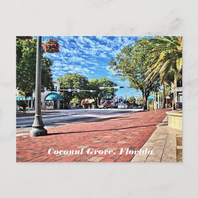 Coconut Grove, Floride Carte postale (Devant)