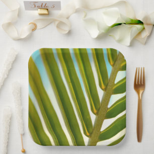 Coconut Leaf Paper Plates