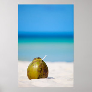 Coconut on the beach poster
