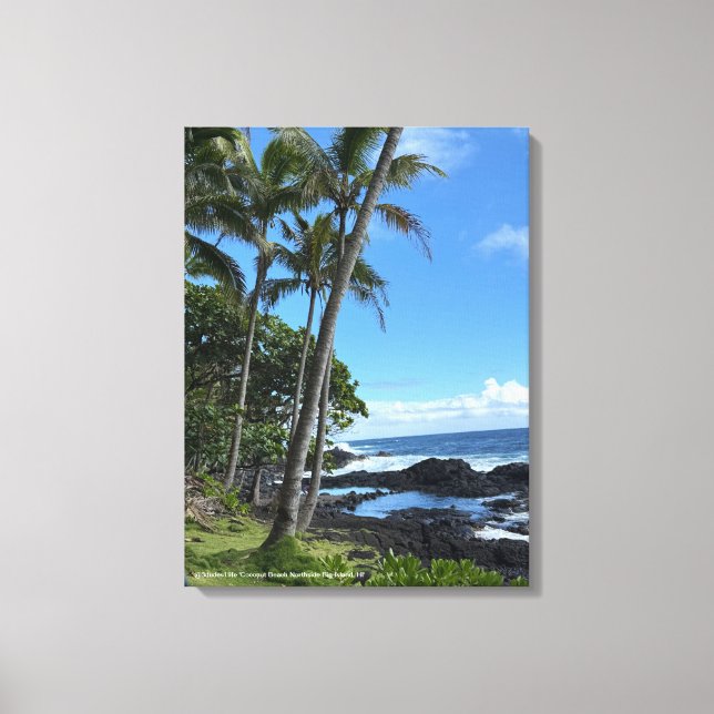 Coconut Palm Beach Hawaii Print @3dudes1life (Front)
