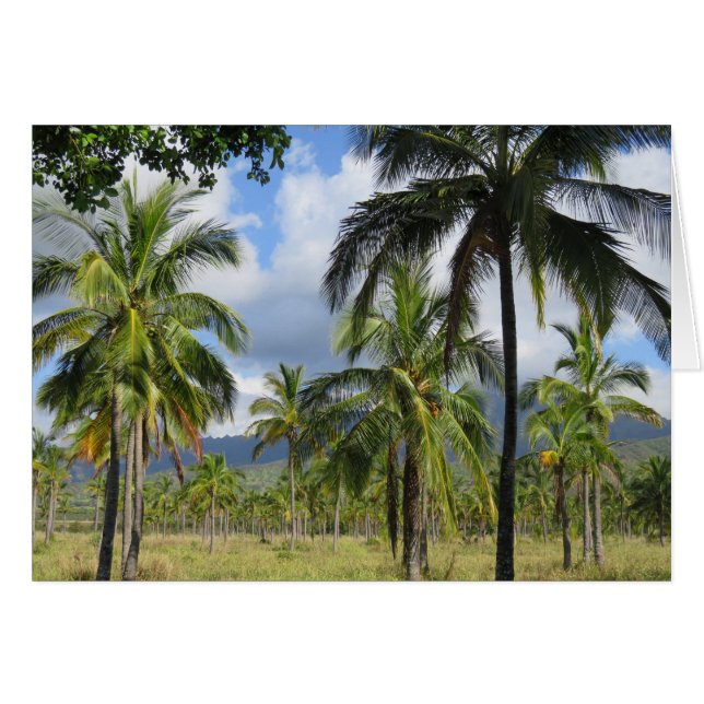 Coconut Palm Forest (Front Horizontal)