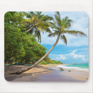 Coconut Palm, Mirissa Beach Sri Lanka Mouse Pad