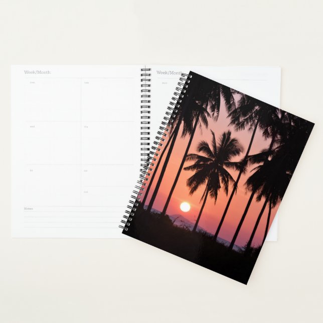 Coconut Palm Tree Landscape Planner (Display)