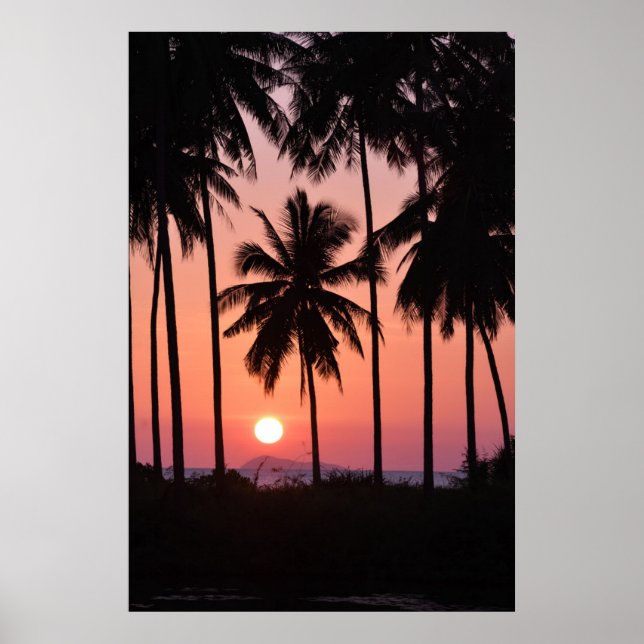 Coconut Palm Tree Landscape Poster (Front)