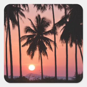 Coconut Palm Tree Landscape Square Sticker