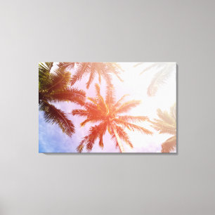 Coconut Palm Tree with Sunlight Canvas Print