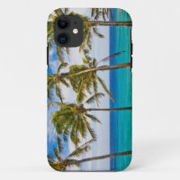 Coconut palm trees (Cocos nucifera) swaying in