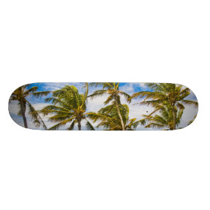 Coconut palm trees (Cocos nucifera) swaying in Skateboard