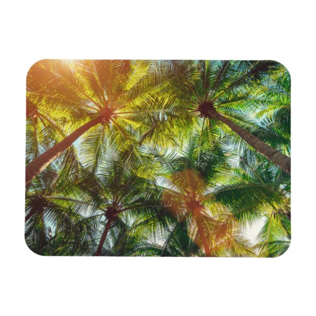 Coconut Palm trees on the Beach Magnet (Horizontal)