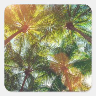 Coconut Palm trees on the Beach Square Sticker