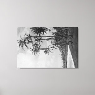 Coconut Palms - Hawaiian Islands Photograph Canvas Print