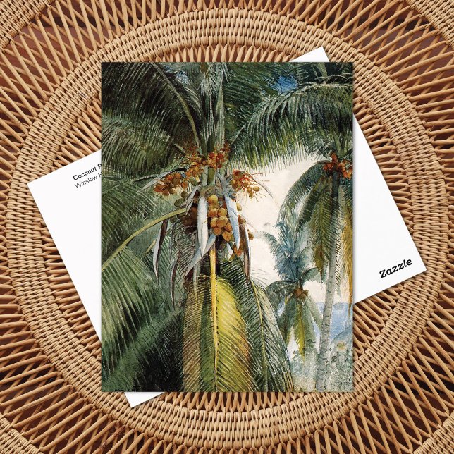 Coconut Palms, Key West Winslow Homer Postcard (Creator Uploaded)