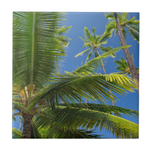 Coconut palms, Pu'uhonua o Honaunau 1 Tile