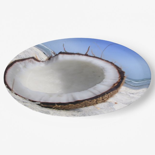 Coconut Paper Plates (Angled)