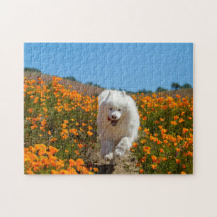 Coconut Poppies Puzzle